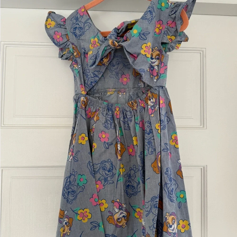 Nickelodeon Skye Paw Patrol Flutter Dress NWOT - Picture 3 of 6